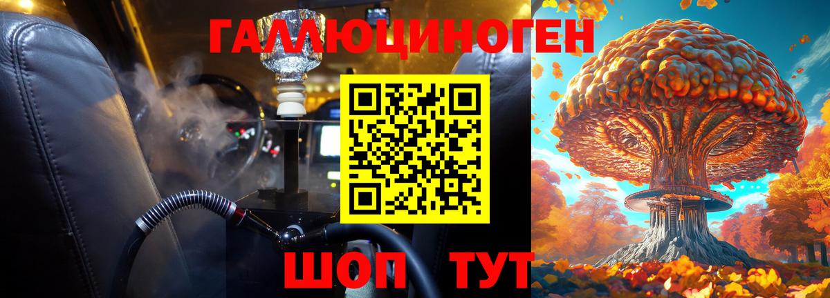 Гагарин  где найти   Вход с VPN  Галлюциногенные грибы прущие грибы 